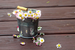 Chaparral Flower Pail